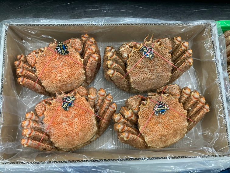 【東京本社】ボイル毛ガニ姿 4kg4尾