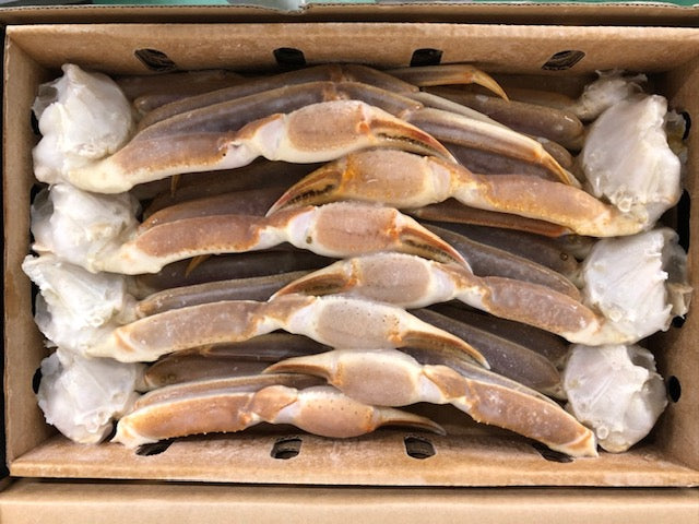 【大阪支店】大型生ずわい化粧箱3kg7肩