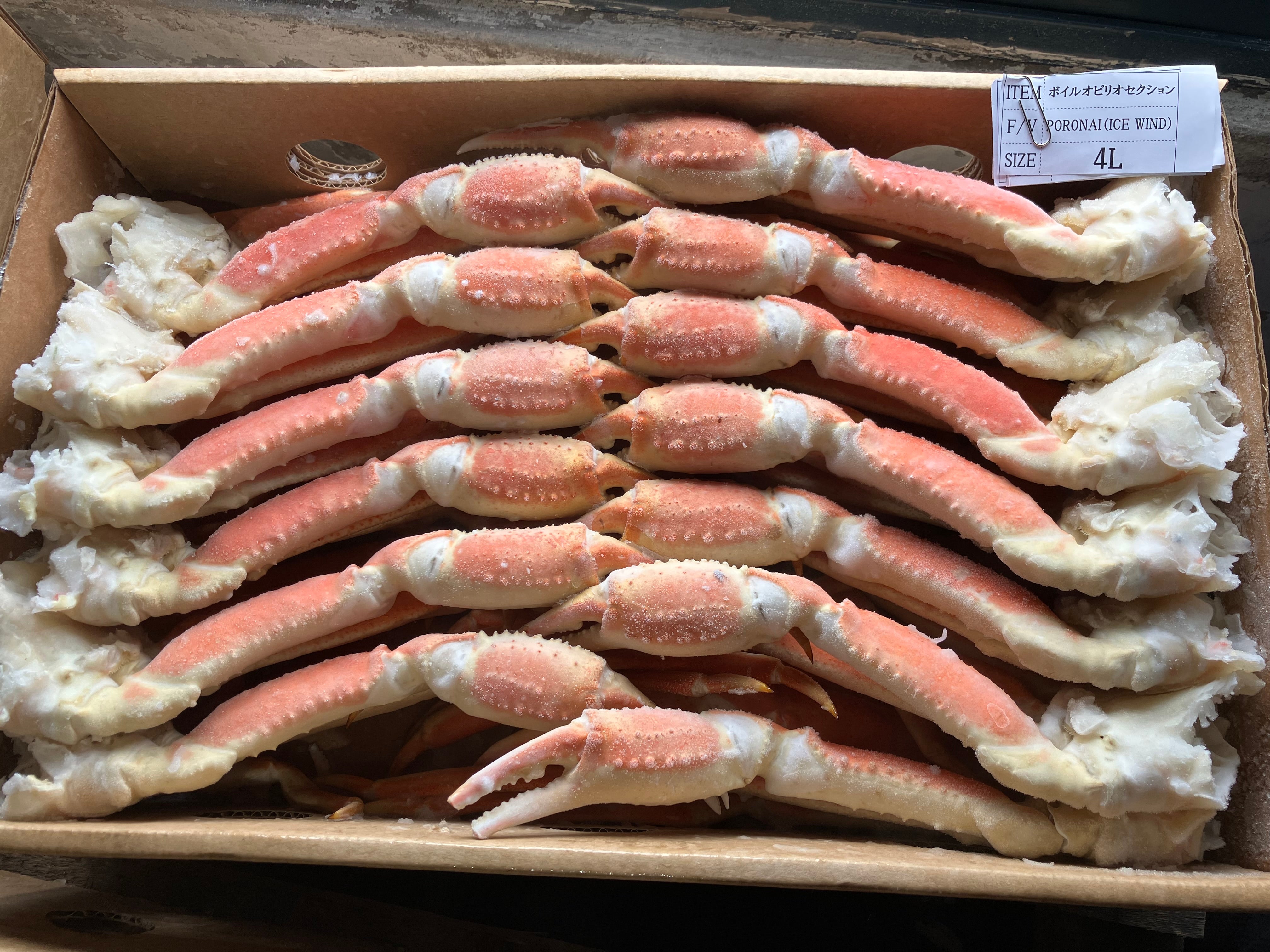 【東京本社】ボイルズワイセクション5kg4L(約15～16肩)