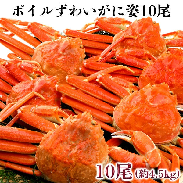 ボイルずわいがに姿　10尾　約4.5kg